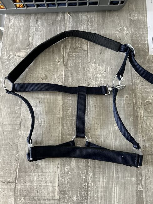 Equiva Halfter in Dunkelblau, Größe COB, neu, Equiva, Lisa, Halters, Frickenhausen