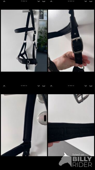 Equiva Kappzaum Größe FULL, Equiva Kappzaum, Madita Kay, Halters, Wolfenbüttel, Image 9