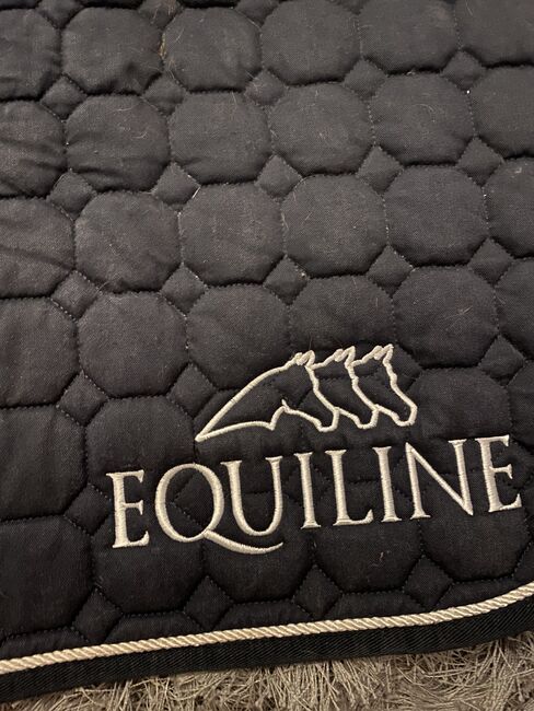 Equline Schabracke, Equiline Dressur, Katharina Bohlscheid, Dressage Pads, Köln, Image 2