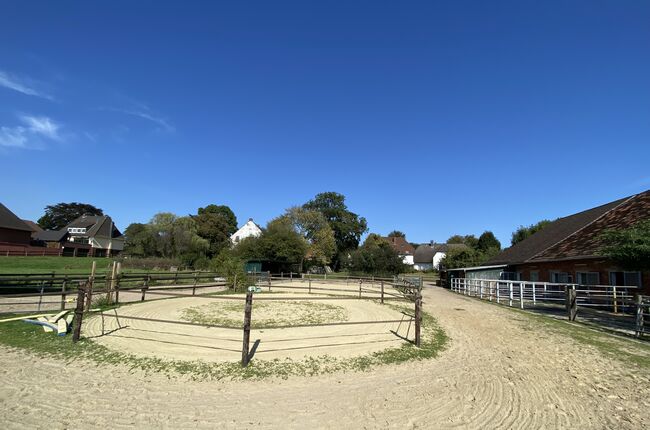 Biete Paddockbox für Wallach in Bremen, Angelika Walter, Horse Stables, Bremen, Image 3