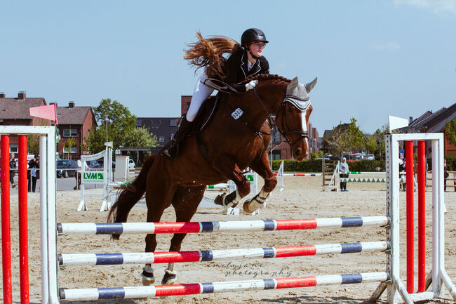 Biete Pferdefotografie, Emely , Horse photography, Billerbeck, Image 5