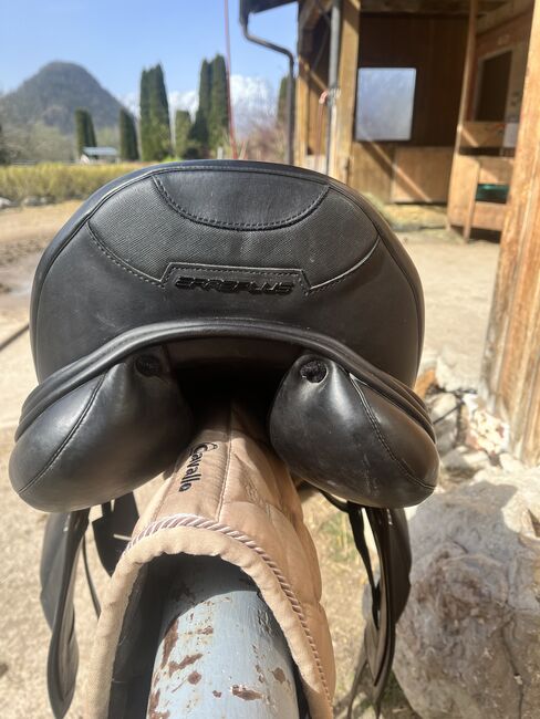 Erre Plus Connect, Erre plus Connect, Judith , Dressage Saddle, Altaussee , Image 3