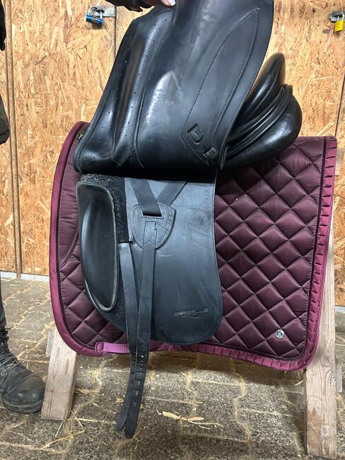 ERREPLUS Adelinde, 17", schwarz, Erreplus Adelinde, Andrea, Reitpad, Hattersheim Am Main, Abbildung 4