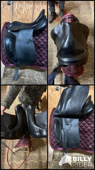 ERREPLUS Adelinde, 17", schwarz, Erreplus Adelinde, Andrea, Reitpad, Hattersheim Am Main, Abbildung 5