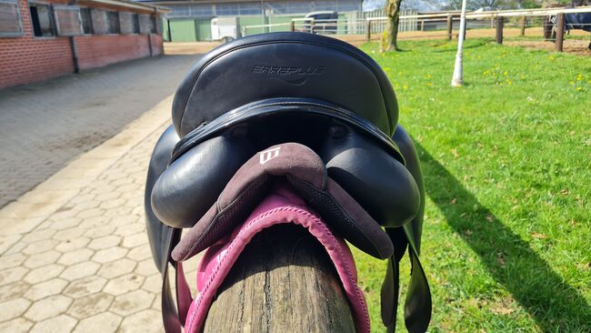 Erreplus Adelinde Dressursattel, Erreplus  Adelinde, Isabel, Dressage Saddle, Henstedt-Ulzburg, Image 8