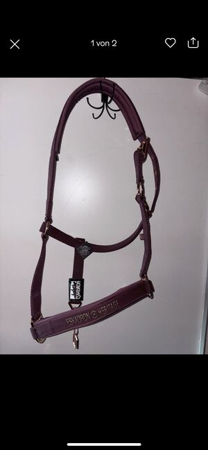 Esakdron halfter heritage 2023, Eskadron , Jessica, Halters, Droyßig