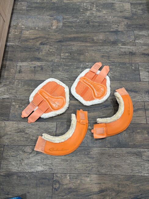 Eskadron Gamaschen S und Hufglocken L, Eskadron , Lena, Tendon Boots, Walzbachtal