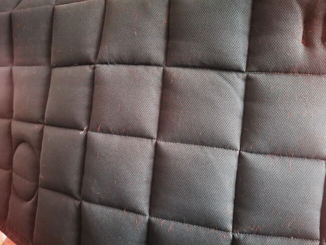 Eskadron big square racing Green, Eskadron Big square , Ronja, Dressage Pads, Altusried, Image 2