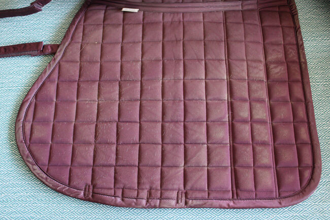 Eskadron cavalluna schabracke cassis VS, Eskadron , Alex , Dressage Pads, Köln , Image 4