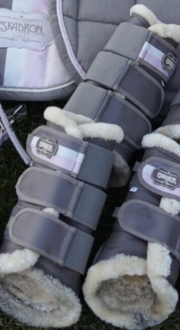 Eskadron Chocochip Powderrose Gamaschen L Softgamaschen, Eskadron, Sarah Koch, Tendon Boots, Feldkirchen - Westerham