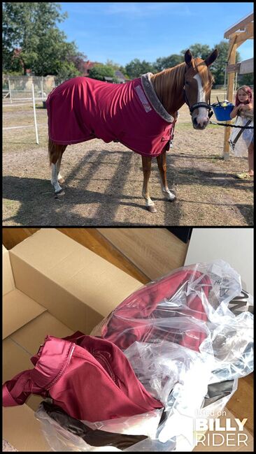 Eskadron Classic Sports Rustic Red, Eskadron  Classic Sports , Fox_Uniicorn, Horse Blankets, Sheets & Coolers, Lilienthal / Seebergen , Image 3