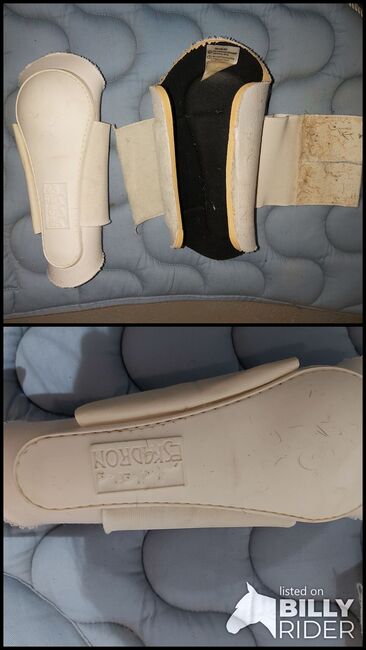 Eskadron COB Gamaschen Neopren weiß, eskadron , Katrin , Tendon Boots, Tornesch , Image 3