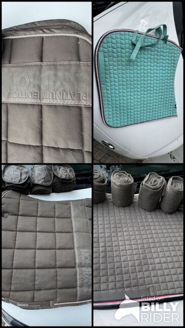 Eskadron Sammlung WB DL, Eskadron, Lisa Marie Pfleger, Dressage Pads, Unterloitzenberg, Image 12