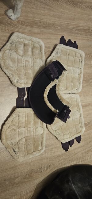 Eskadron deepberry L & XL HUFGLOCKEN XL, Eskadron  Deepberry , Natascha , Tendon Boots, Papenburg , Image 2