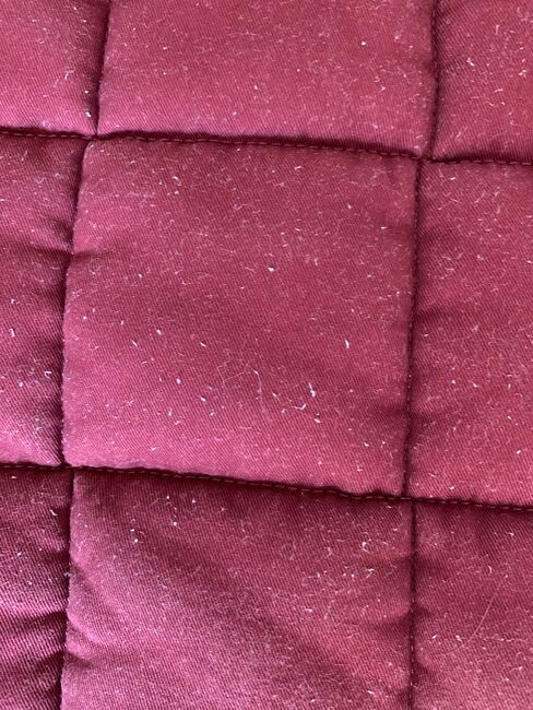Eskadron Dark red Schabracke DL, Eskadron , Jule, Dressage Pads, Husum, Image 6