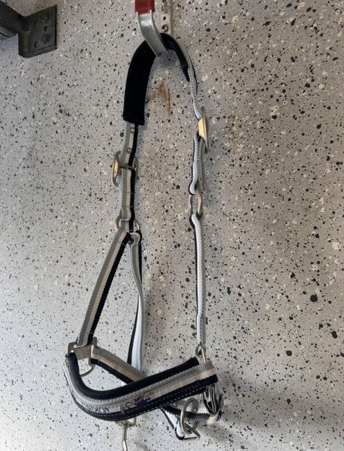 Eskadron Double Pin Halfter COB, Eskadron Double Pin , Angelina, Halters, Kaltenkirchen