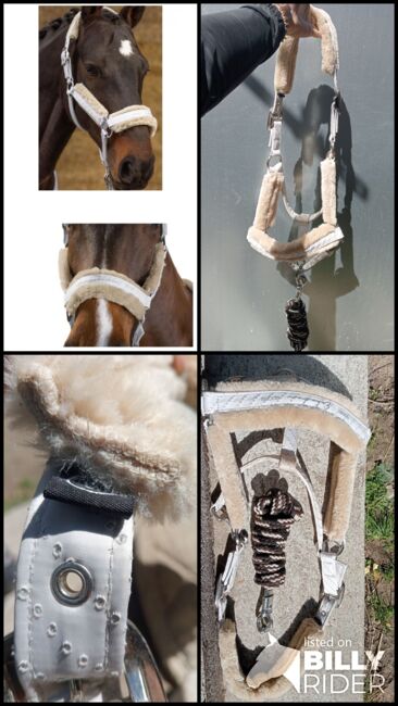 Eskadron Double Pin Halfter Glossy Fausfur  coolgrey, Eskadron  Eskadron Double Pin Halfter Glossy Fausfur  coolgrey, Josi, Halters, Oderaue, Image 8