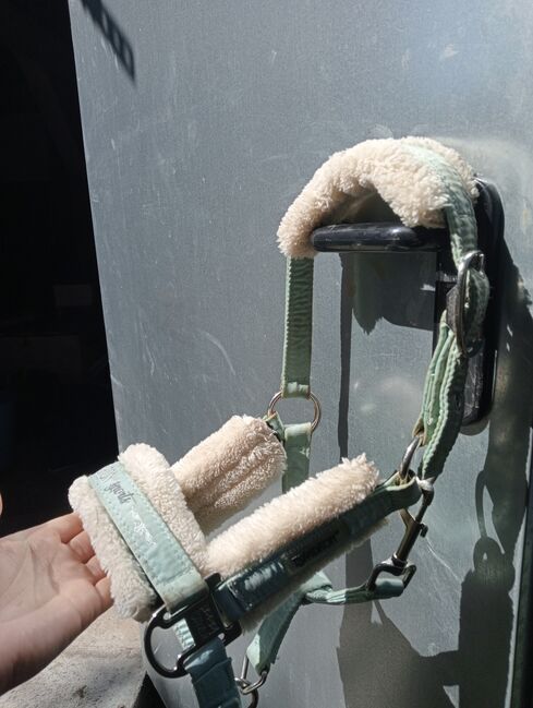 Eskadron FauxFur-Dornschnallen-Halfter in jade, Eskadron  Eskadron FauxFur-Dornschnallen-Halfter in jade, Josi, Halters, Oderaue, Image 3