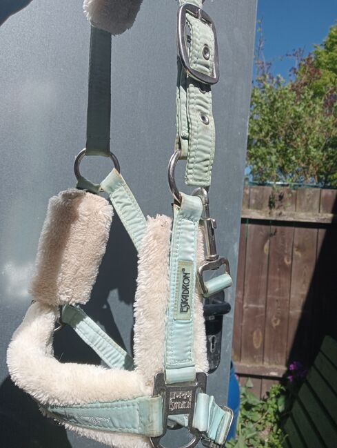 Eskadron FauxFur-Dornschnallen-Halfter in jade, Eskadron  Eskadron FauxFur-Dornschnallen-Halfter in jade, Josi, Halters, Oderaue, Image 5