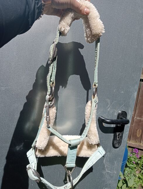 Eskadron FauxFur-Dornschnallen-Halfter in jade, Eskadron  Eskadron FauxFur-Dornschnallen-Halfter in jade, Josi, Kantary, Oderaue, Image 6