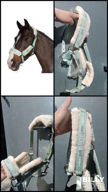 Eskadron FauxFur-Dornschnallen-Halfter in jade, Eskadron  Eskadron FauxFur-Dornschnallen-Halfter in jade, Josi, Halfter, Oderaue, Abbildung 8