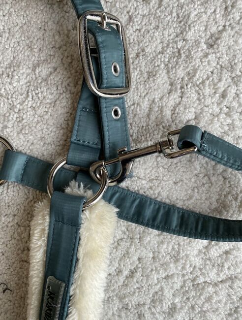 Eskadron FauxFur Halfter Classic Sports seapine green, Eskadron , Riedl , Halters, Oberhaching , Image 4