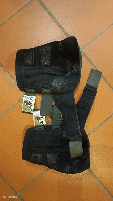 Eskadron Fesselkopfgamaschen schwarz, hinten, WB, Susanne , Tendon Boots, Erlangen 