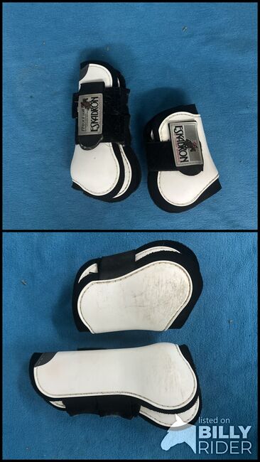 Eskadron Gamaschen + Streichkappen, Eskadron , Werny, Tendon Boots, Lassee, Image 3