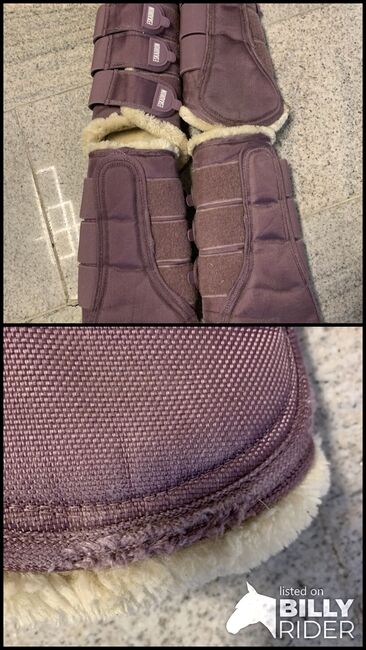 Eskadron-Gamaschen L+XL, Eskadron, Sarah, Tendon Boots, Ratingen, Image 3
