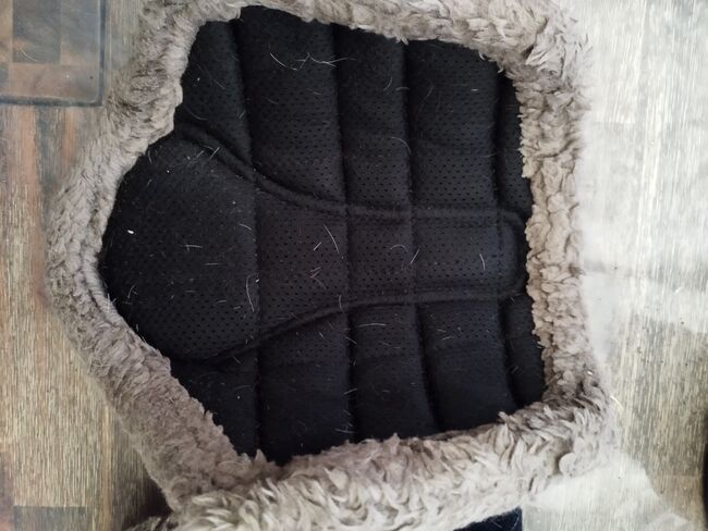 Eskadron Gamaschen M/L, Set Eskadron Gamaschen+ Glocken , Julia , Tendon Boots, Wippingen, Image 5