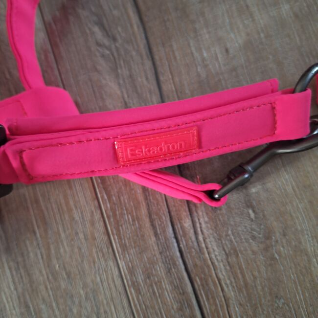 Eskadron Halfter mit Führstrick Reflexx Pink, ADN, Halters, Duisburg, Image 4