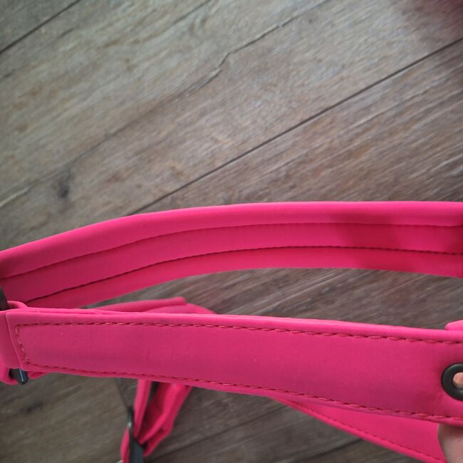 Eskadron Halfter mit Führstrick Reflexx Pink, ADN, Halters, Duisburg, Image 10