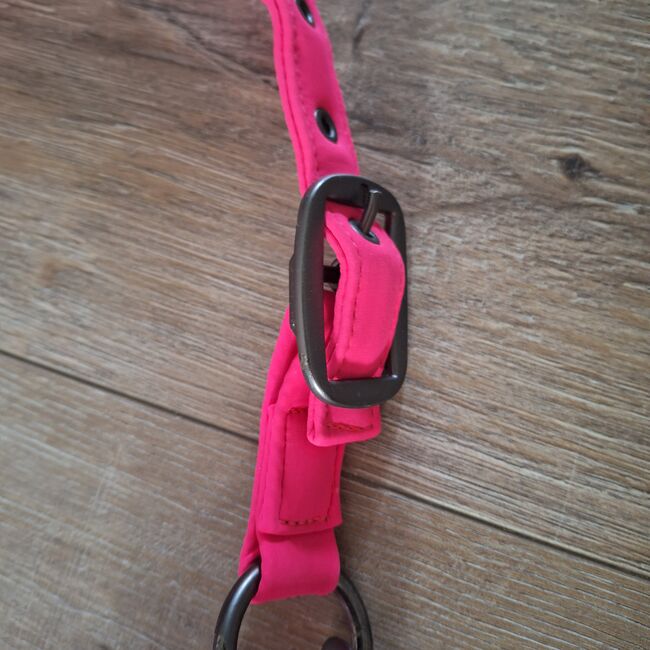 Eskadron Halfter mit Führstrick Reflexx Pink, ADN, Halters, Duisburg, Image 7