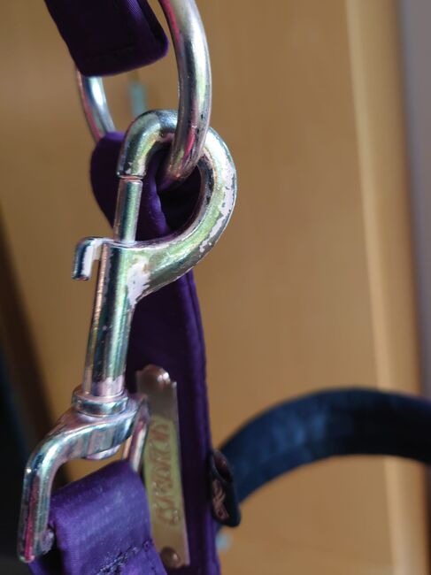 Eskadron Halfter + Strick Heritage 20/21, deepberry, V, Eskadron Glossy Doublepin, Janina Beilfuß, Halters, Ahrensbök, Image 3