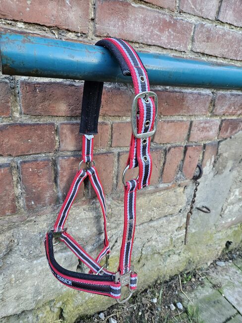 Eskadron Halfter COB, Eskadron, Lea, Halters, Camburg 
