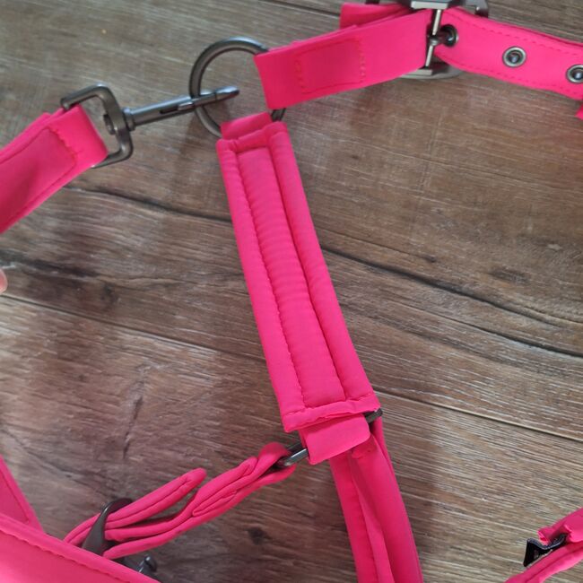 Eskadron Halfter mit Führstrick Reflexx Pink, ADN, Halfter, Duisburg, Abbildung 11