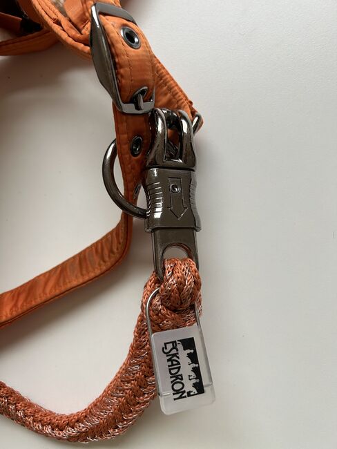 Eskadron Halfter Set Vb / Vermillion Orange, Eskadron  Platinum , Michelle, Halfter, Soltau, Abbildung 4
