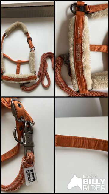 Eskadron Halfter Set Vb / Vermillion Orange, Eskadron  Platinum , Michelle, Halfter, Soltau, Abbildung 5