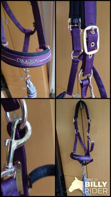 Eskadron Halfter + Strick Heritage 20/21, deepberry, V, Eskadron Glossy Doublepin, Janina Beilfuß, Halfter, Ahrensbök, Abbildung 5