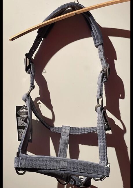 Eskadron halfter vollblut, Eskadron , Jessica, Halfter, Droyßig