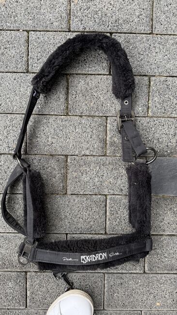 Eskadron Halfter WB, Eskadron, Victoria , Halfter, München