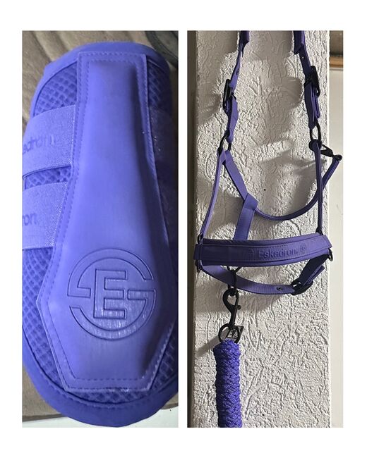 Eskadron Halfter WB, Eskadron bei Interesse, Fabienne, Halfter, Schermbeck