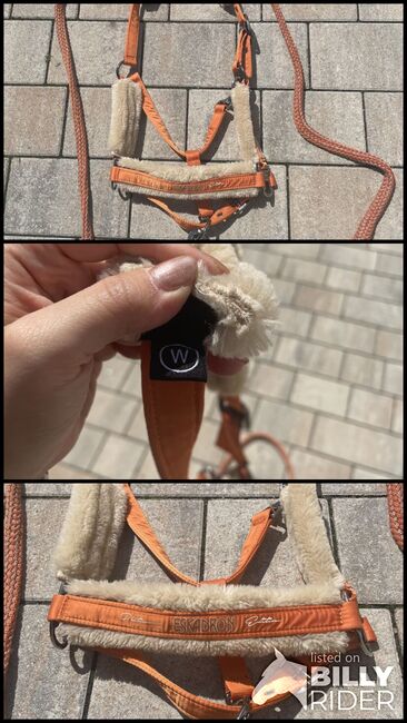 Eskadron Halfter, Eskadron  Faux Fur Halfter, Karoline Walter, Halters, St. Pölten, Image 4