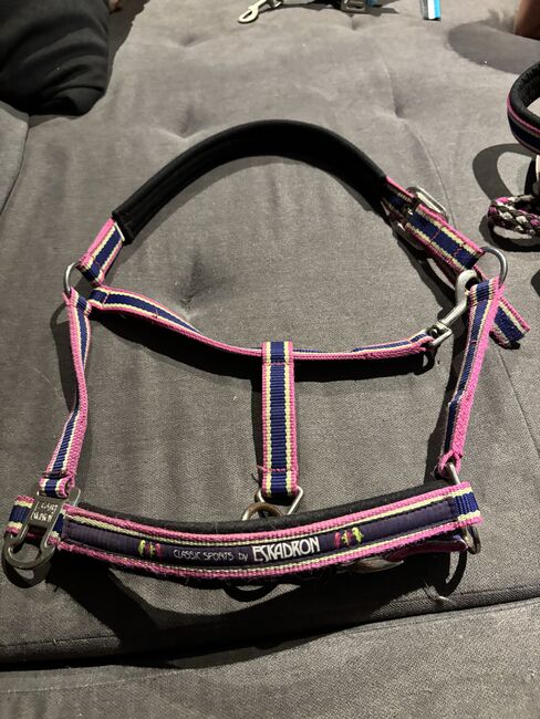 Eskadron Halfter, Eskadron Fuchsia-Lime Limited Edition, Denise, Halters, Nattenheim