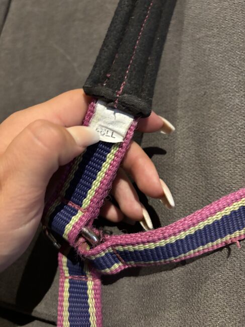 Eskadron Halfter, Eskadron Fuchsia-Lime Limited Edition, Denise, Halters, Nattenheim, Image 2
