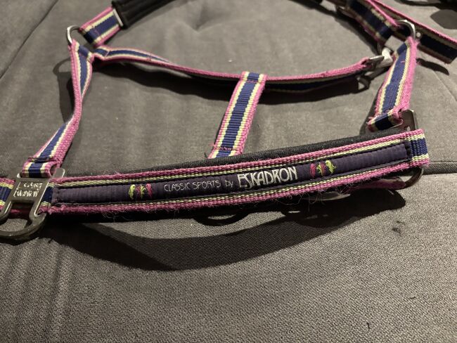Eskadron Halfter, Eskadron Fuchsia-Lime Limited Edition, Denise, Halters, Nattenheim, Image 3