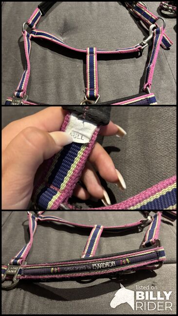 Eskadron Halfter, Eskadron Fuchsia-Lime Limited Edition, Denise, Halters, Nattenheim, Image 4