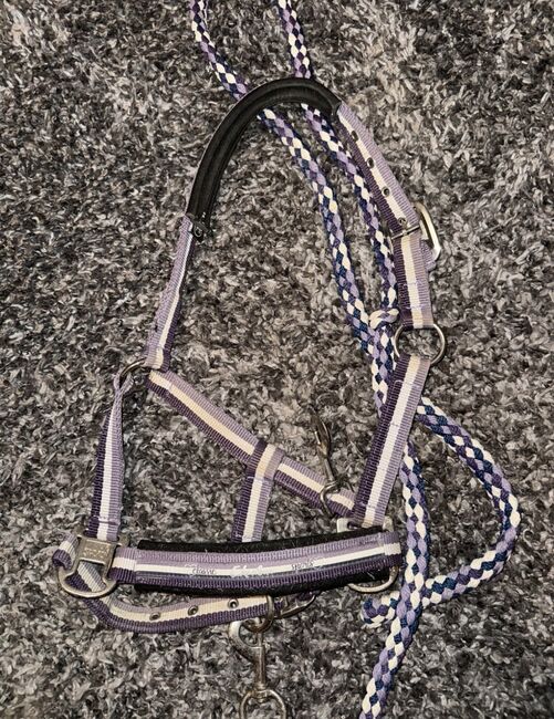 Eskadron Halfter gr. p2, Eskadron , Corina , Halters, Egling an der Paar