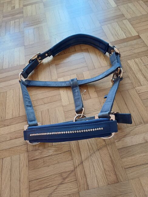 Eskadron halfter, Eskadron  Halfter , Mara , Halters, Aspach 