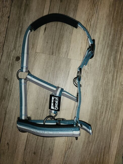 Eskadron Halfter, Lilly , Halters, Friedeburg 